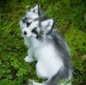 Meet your Posher, Kevin